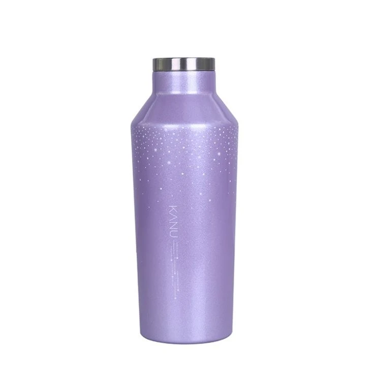 500ML Double Wall Insulated Water Bottle