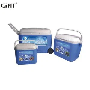 Combinação de caixa refrigeradora comercial
