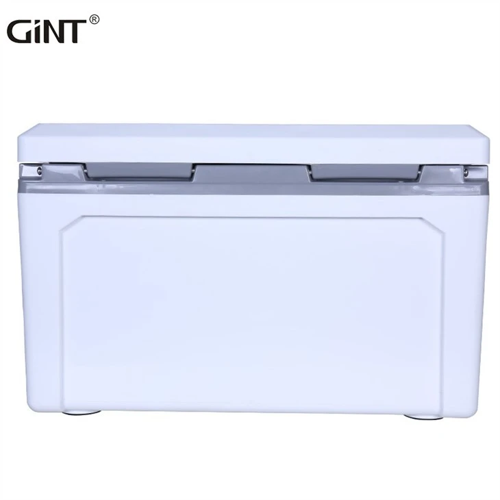 GiNT Cooler